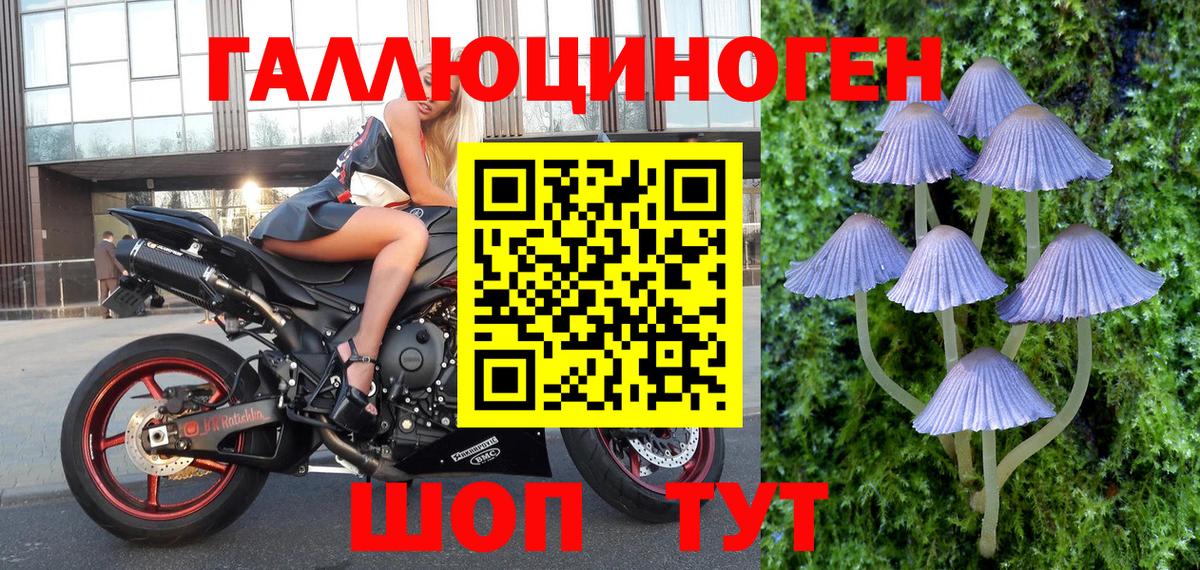 Псилоцибиновые грибы мицелий  Галлюциногенные грибы прущие грибы  Вход с VPN  Астрахань 