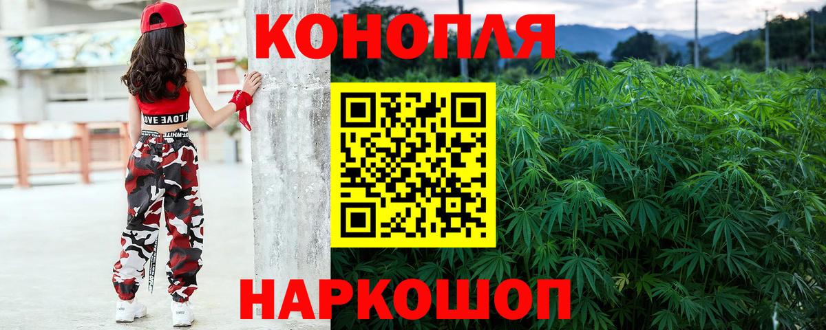 Канабис планчик  Вход с VPN  Астрахань  Канабис White Widow 